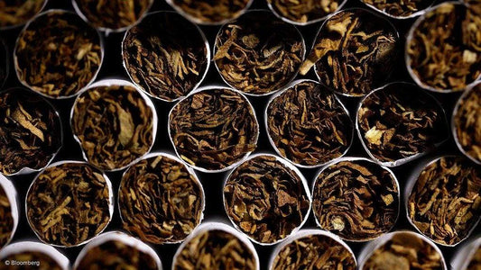 4 Thés pour arrêter la cigarette - Malindo