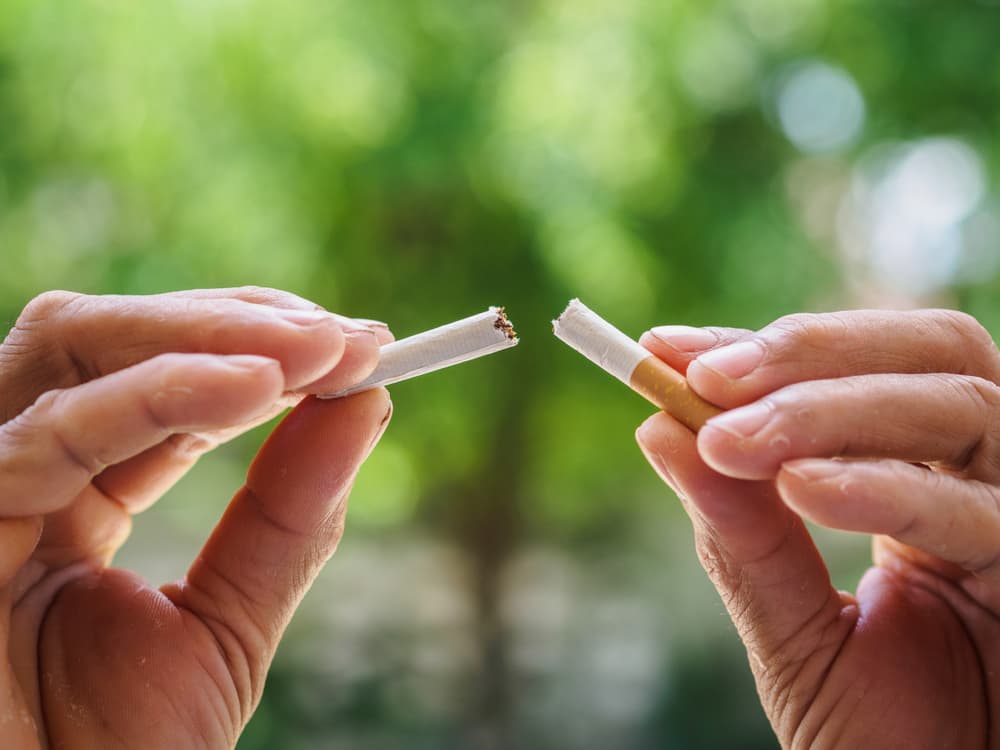 8 plantes qui vous aideront à arrêter la cigarette. - Malindo