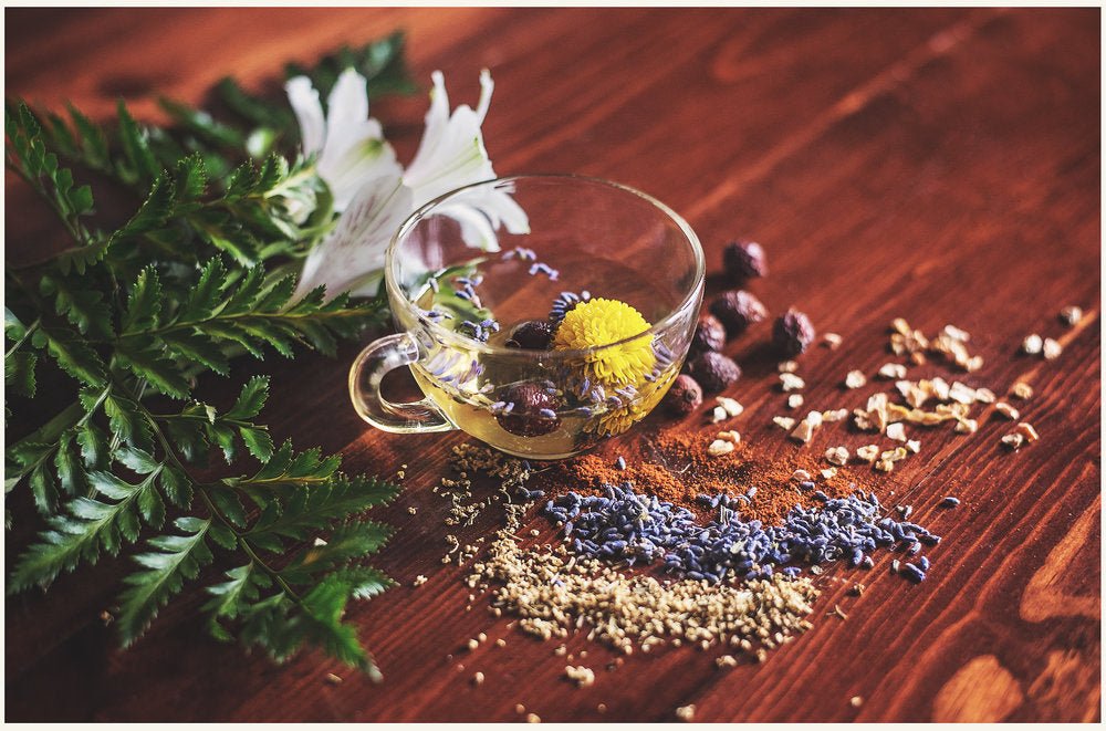 Les bienfaits de la graine de fenouil - Malindo Blog - le N°1 du thé bio
