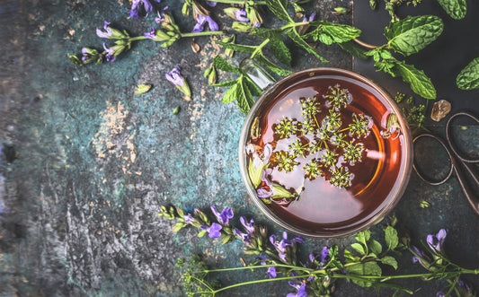 Infusion et tisane : Quelle est la différence ? - Malindo