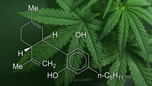 Le CBD est-il une solution contre l’épilepsie ? - Malindo