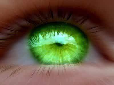 Le thé vert et ses bienfaits sur les Yeux - Malindo