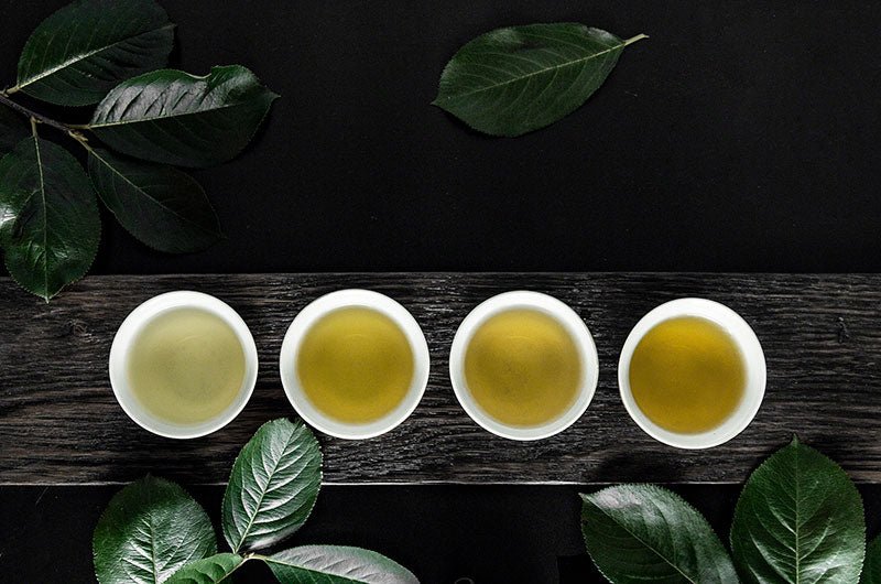 Le Thé Vert : Un Allié Naturel pour la Perte de Poids