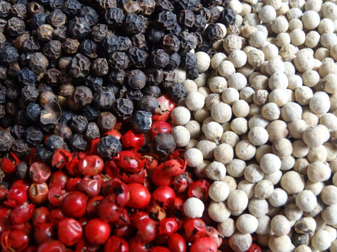 Poivre blanc, noir, vert ou rouge : découvrez les sortes de poivres - Malindo