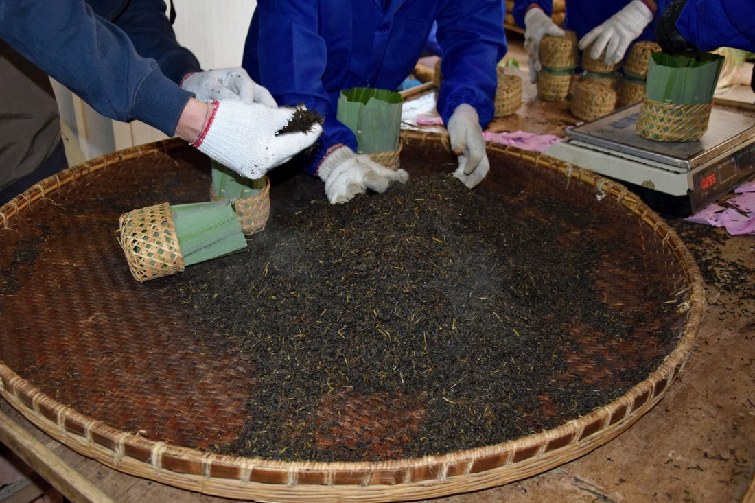 Processus de fabrication du thé : Différence entre oxydation et fermentation - Malindo