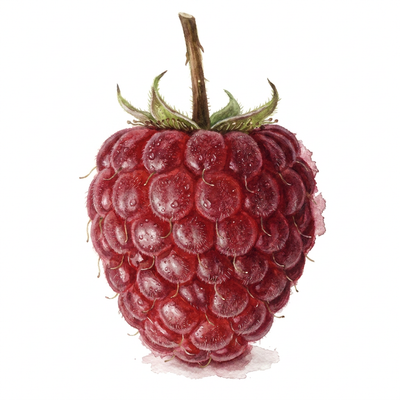 Framboise