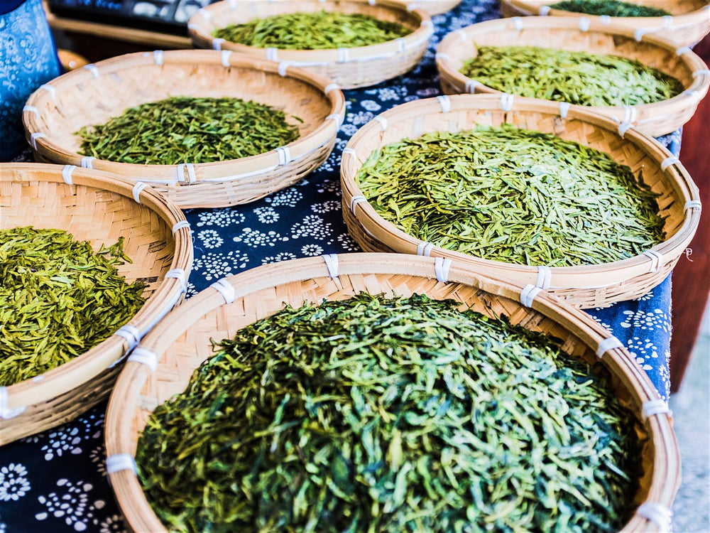 feuilles de thé vert entrain de sécher dans des plateaux en bambou